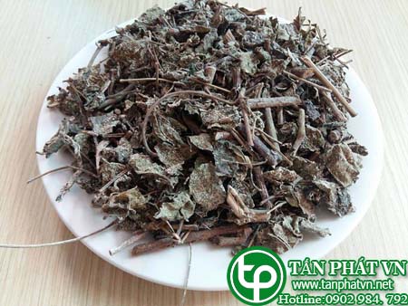 Cung cấp sỉ lẻ chè dây tại Hải Phòng giá 120k/1kg