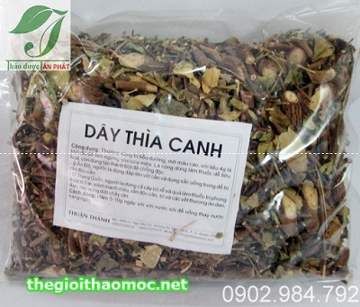 Địa chỉ mua bán dây thìa canh tại Bình Phước