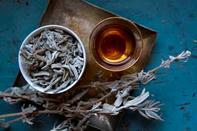 trà ngọc bình phong ẩm