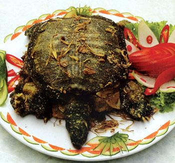 ba ba bổ dưỡng cho cơ thể